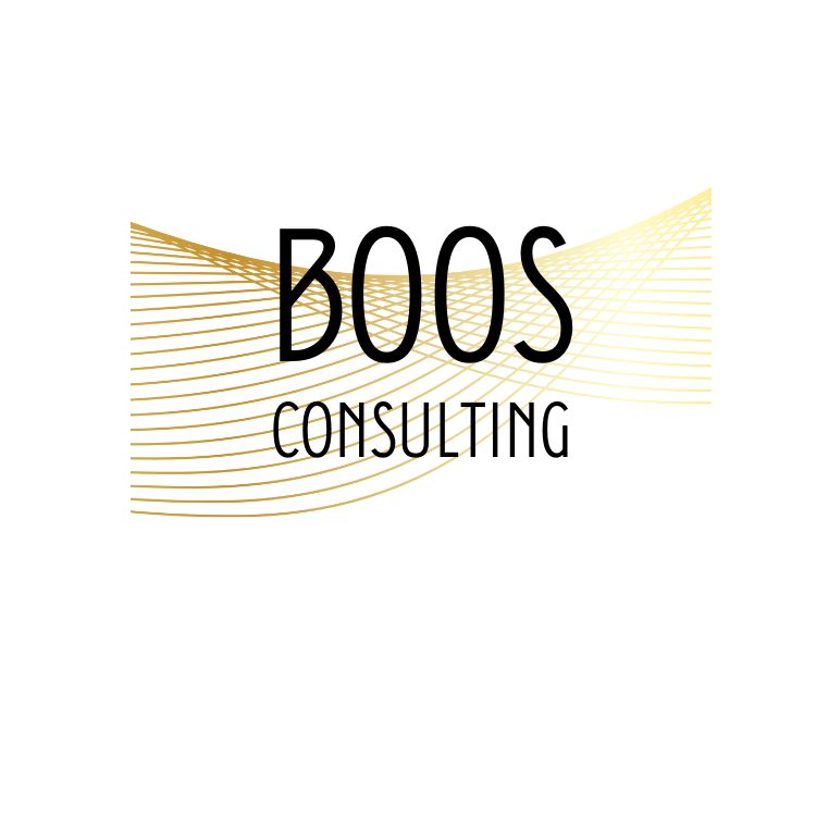Logo Boos Consulting